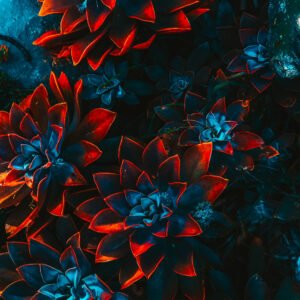 freelance artist floral 4